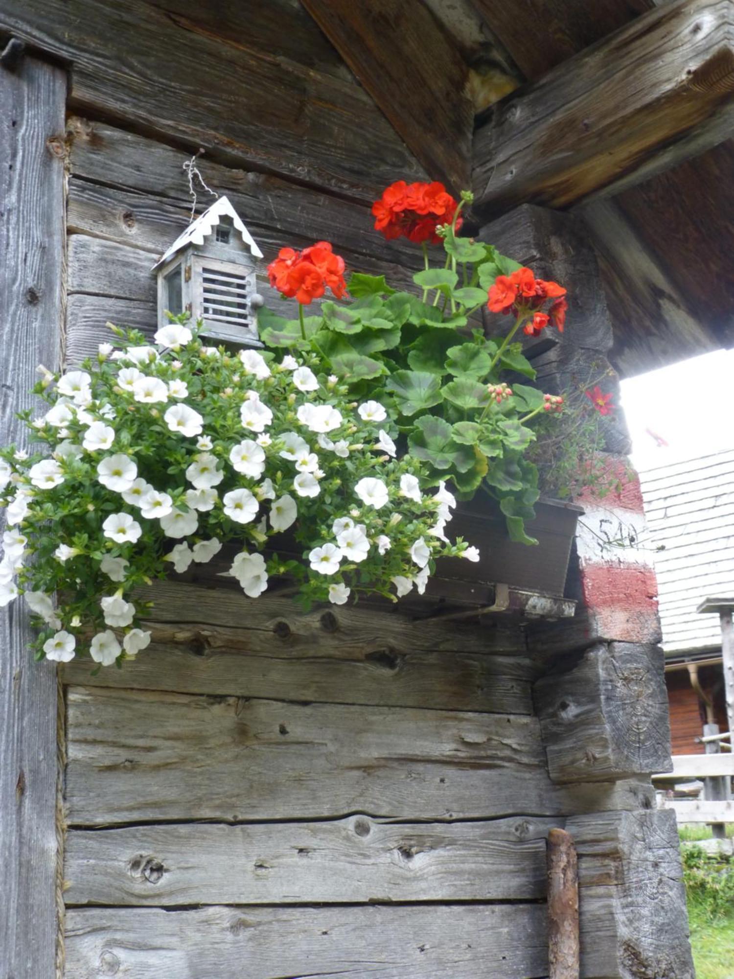 B&B,Bergheimat Oase Irschen Luaran gambar