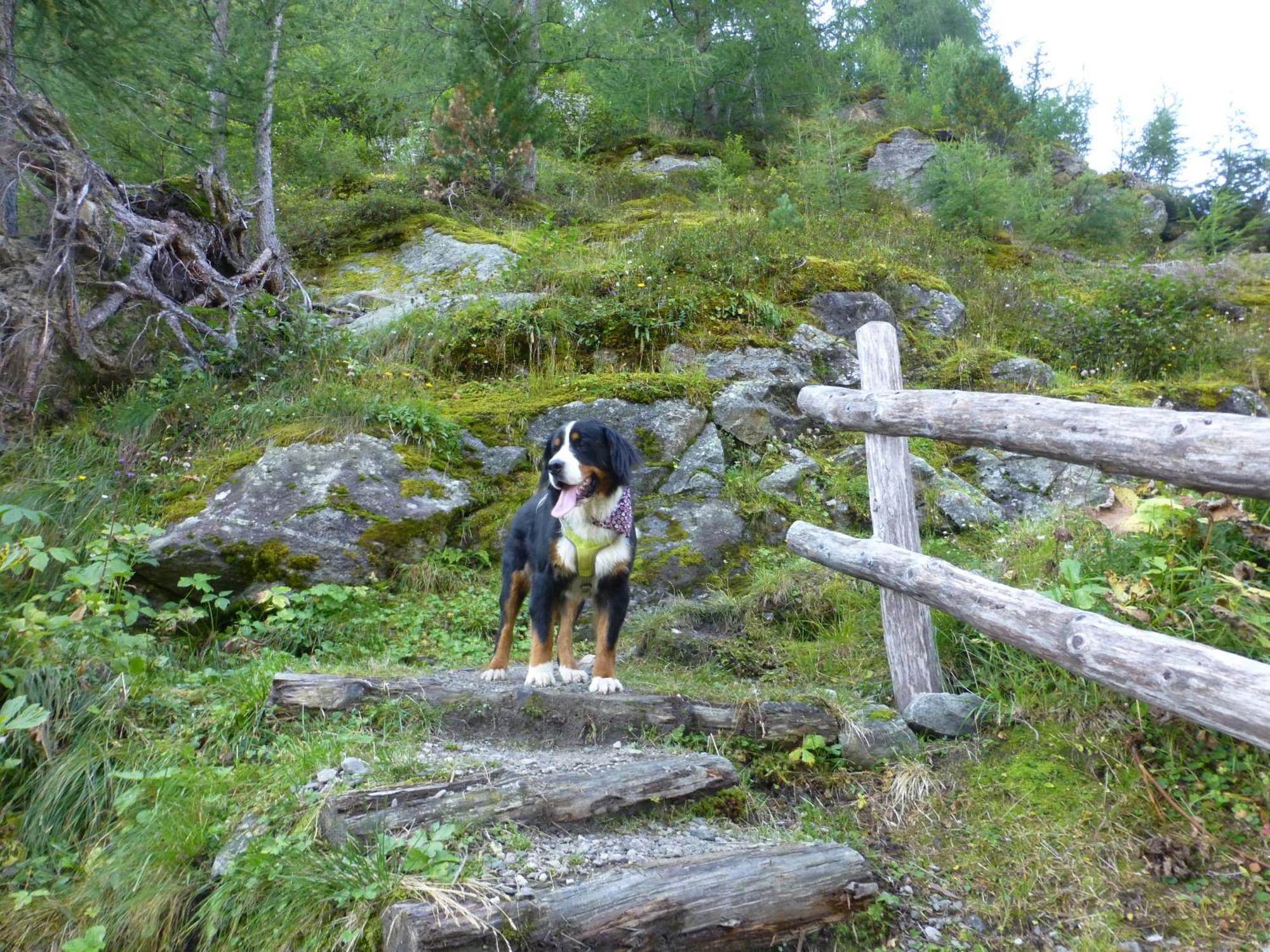 B&B,Bergheimat Oase Irschen Luaran gambar