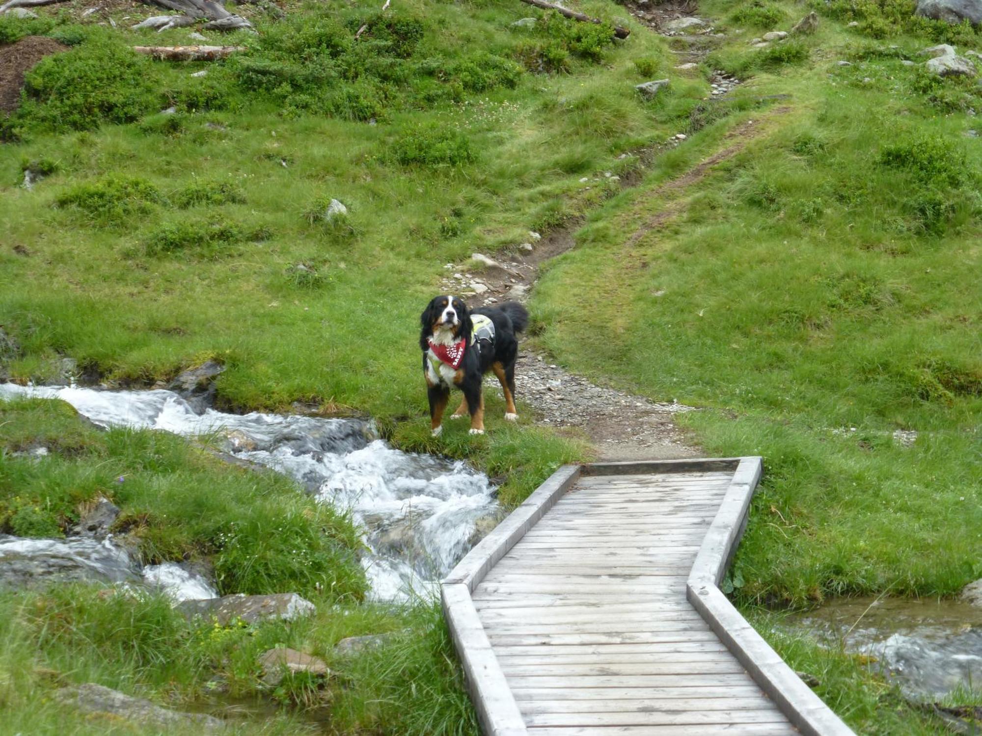 B&B,Bergheimat Oase Irschen Luaran gambar