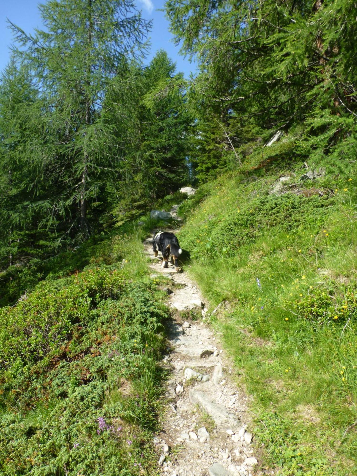 B&B,Bergheimat Oase Irschen Luaran gambar