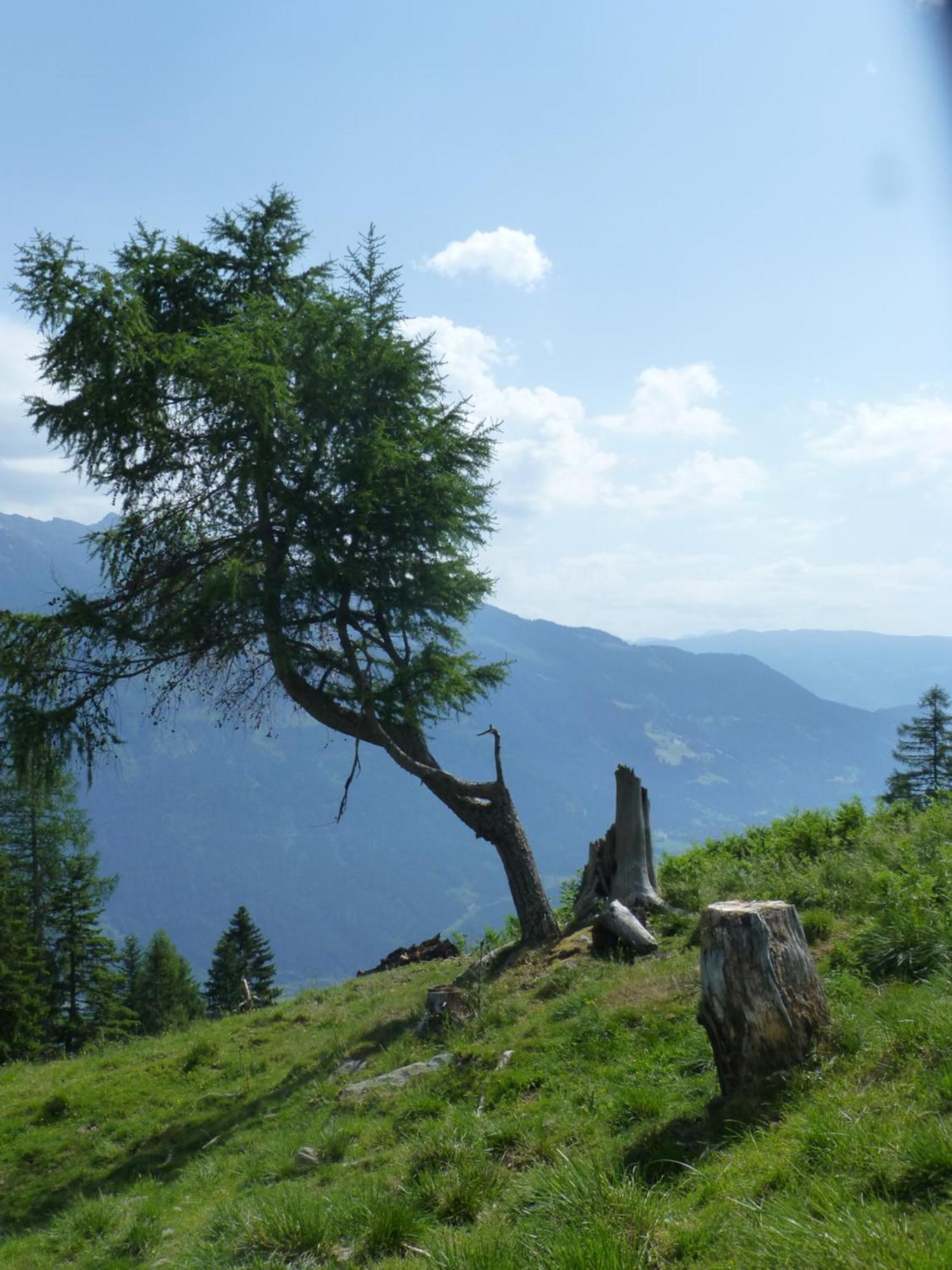 B&B,Bergheimat Oase Irschen Luaran gambar