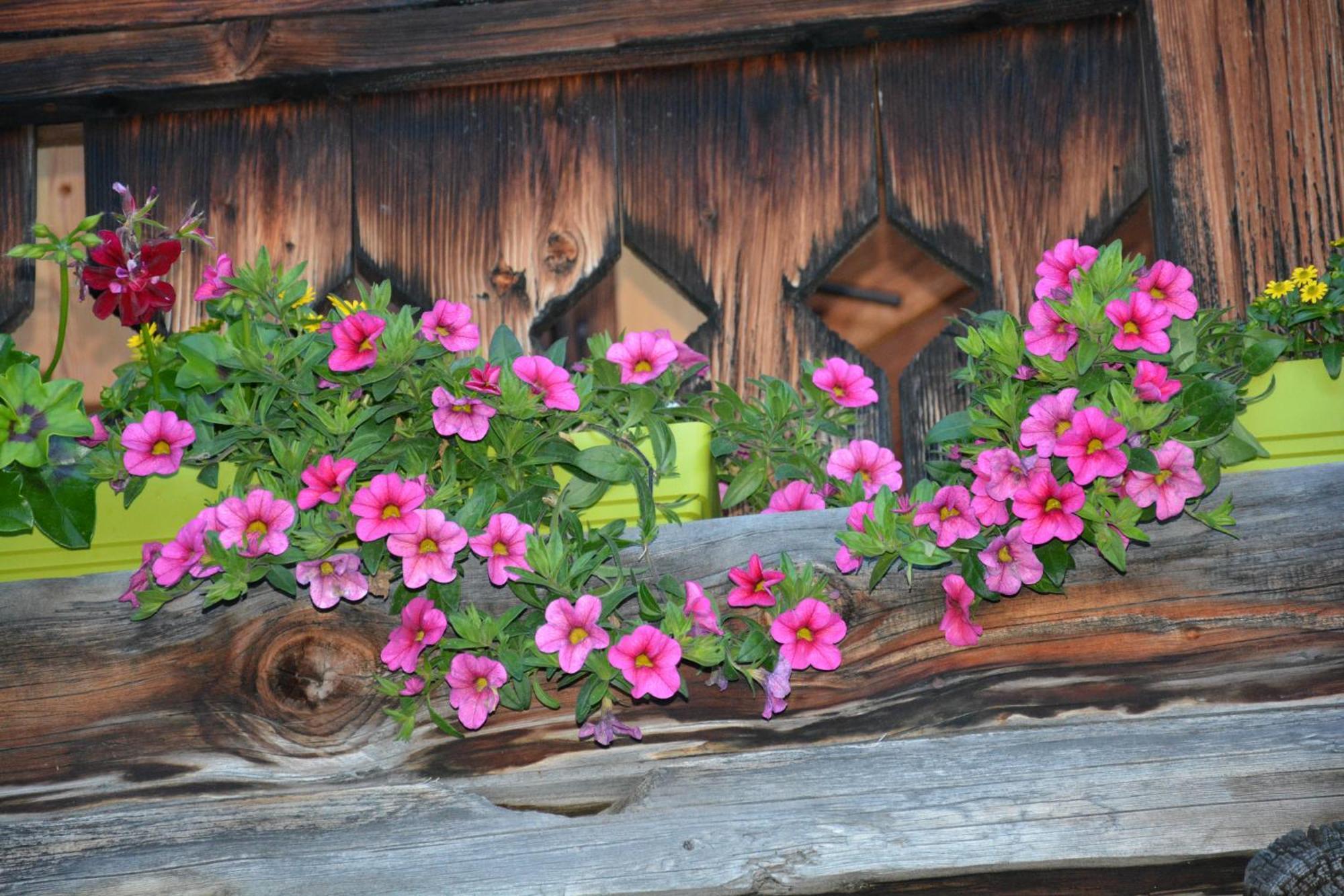 B&B,Bergheimat Oase Irschen Luaran gambar