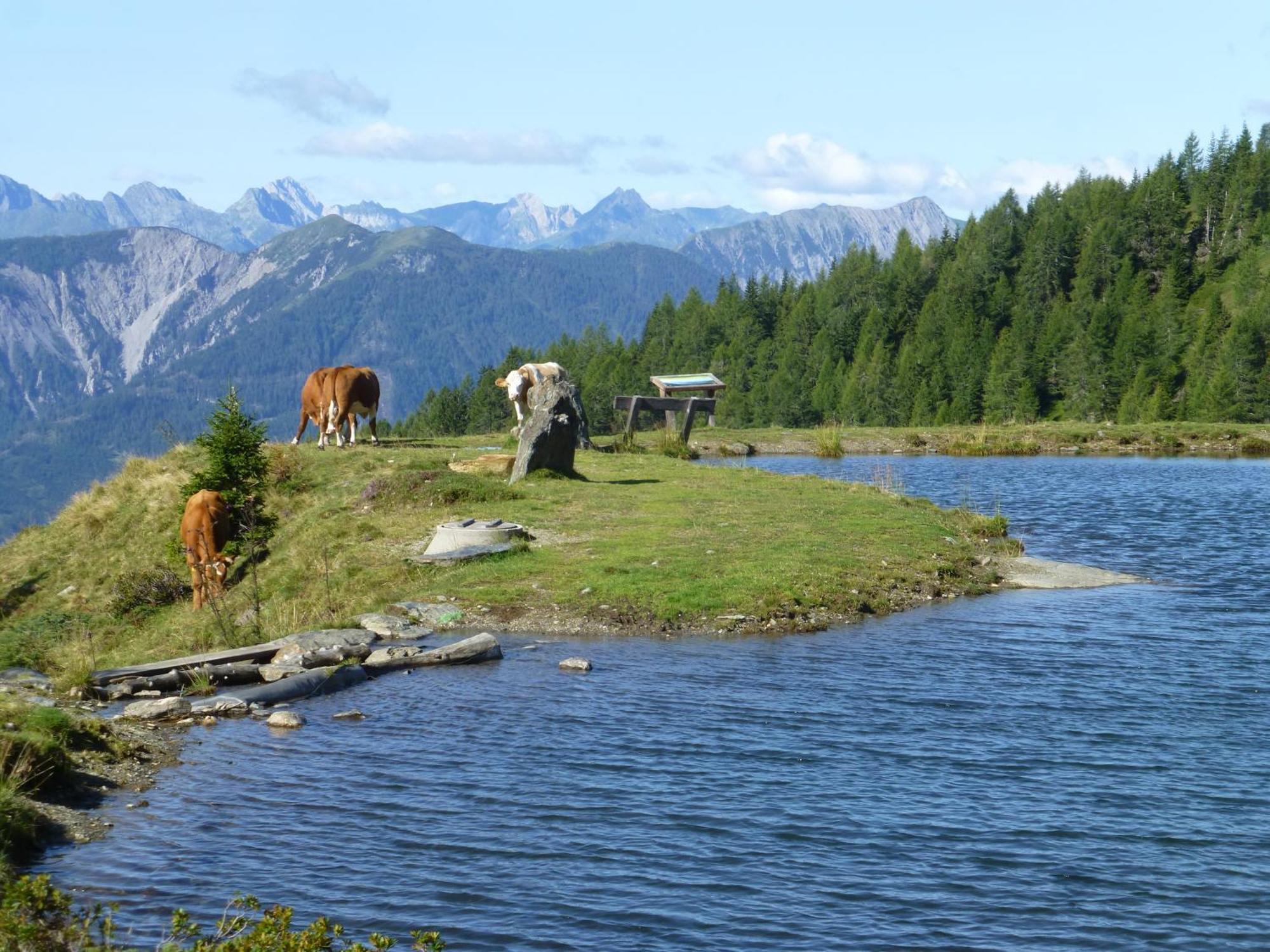 B&B,Bergheimat Oase Irschen Luaran gambar