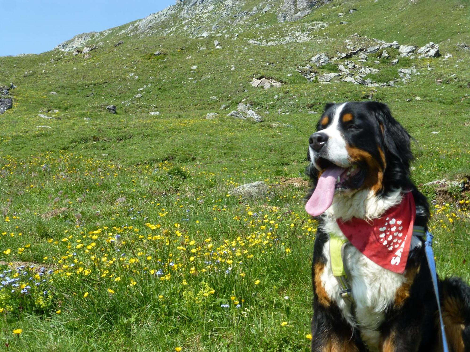 B&B,Bergheimat Oase Irschen Luaran gambar