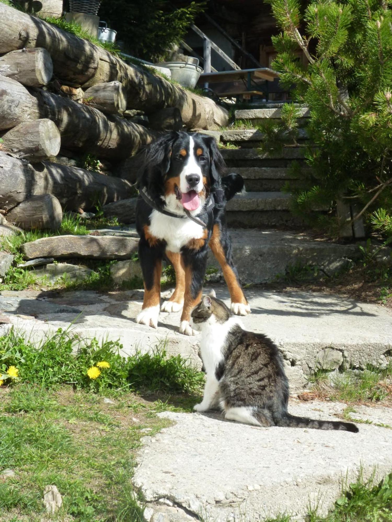B&B,Bergheimat Oase Irschen Luaran gambar